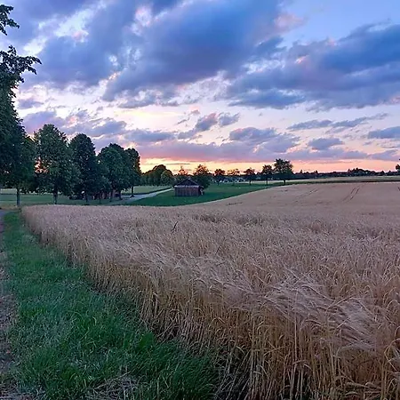 Landgasthof/hotel Hirsch Im Gruenen 3*